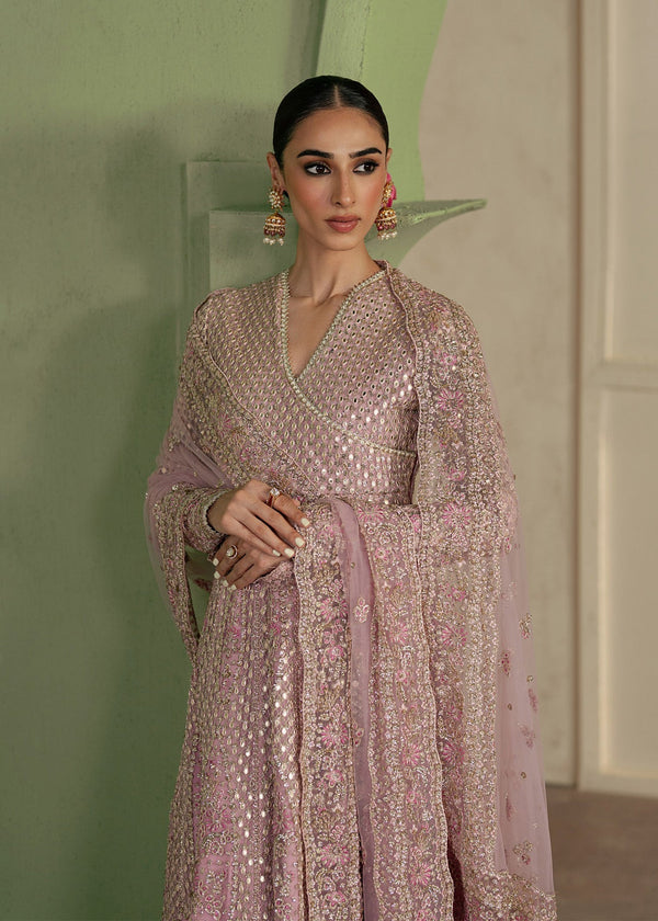 Festive chiffon wear 008R